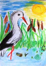 Mulíková Klára.jpg